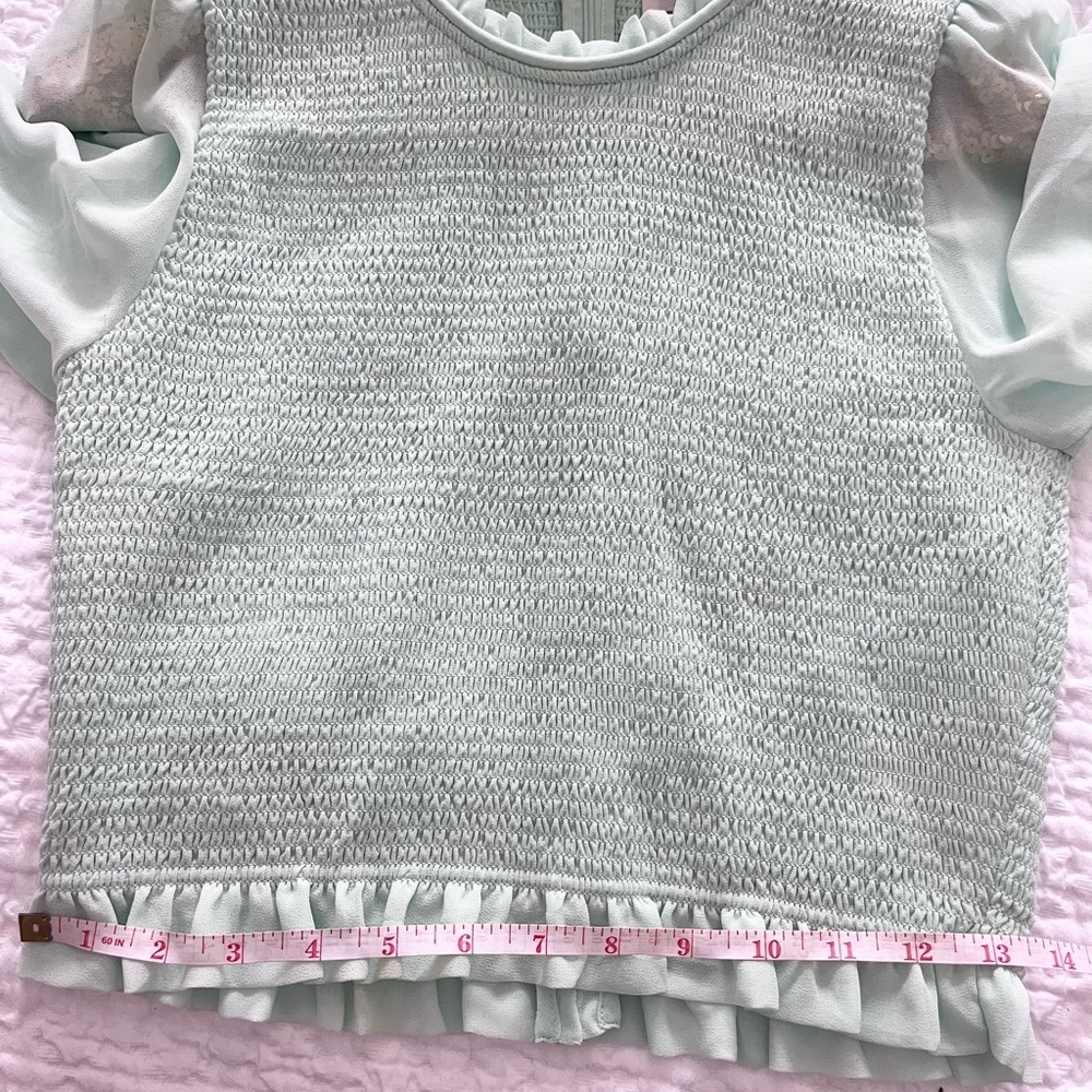 Aritzia Wilfred Pale Mint Smocked Chiffon Ruffle Temptest Top Cottagecore - Picture 7 of 8